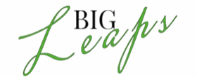 BigLeaps Consulting